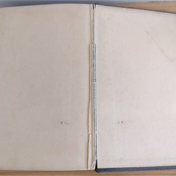 Vintage 1927 Caste By Cosmo Hamilton G.P. Putnams Sons Hardcover Book - Picture 11 of 11